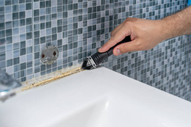 Mold Removal Process in Star, ID